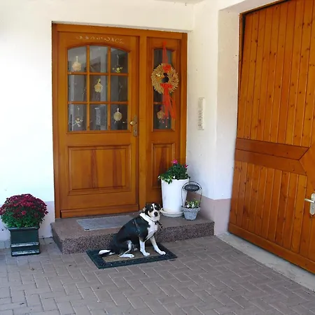 Comfortable Holiday Home In A Beautiful Location Hofstetten  Esterno foto