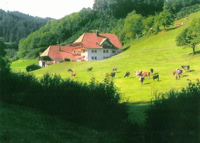 Comfortable Holiday Home In A Beautiful Location
