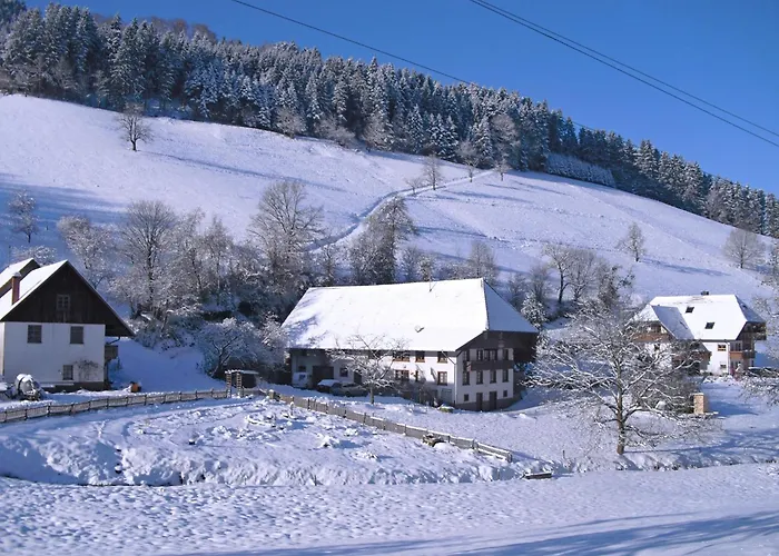 Comfortable Holiday Home In A Beautiful Location