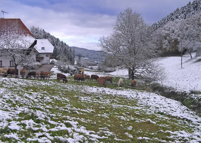Comfortable Holiday Home In A Beautiful Location