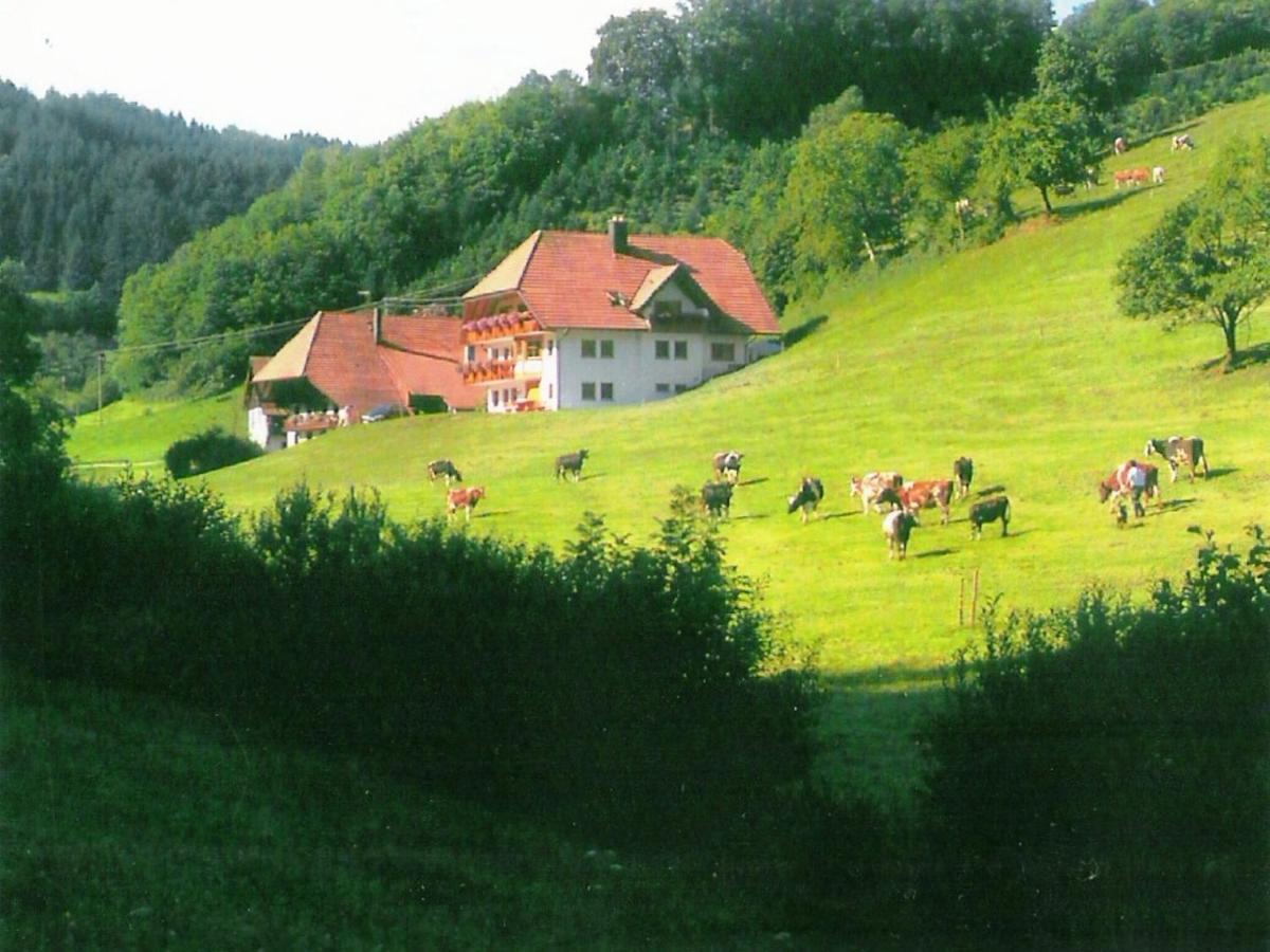 Comfortable In A Beautiful Location