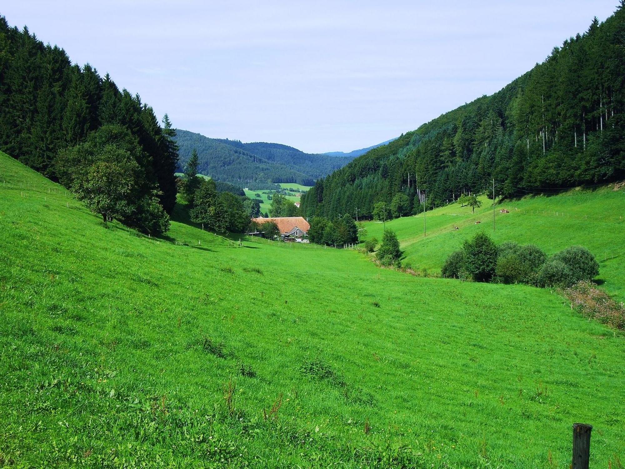 Comfortable In A Beautiful Location Hofstetten (Baden-Wurttemberg)