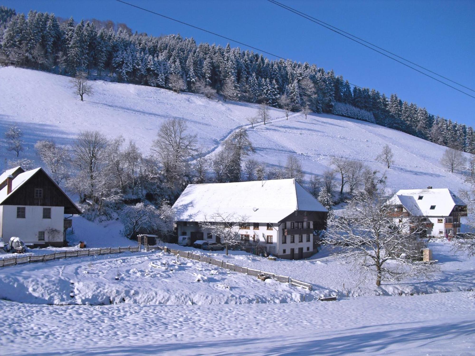 Comfortable In A Beautiful Location Apartment Hofstetten (Baden-Wurttemberg)