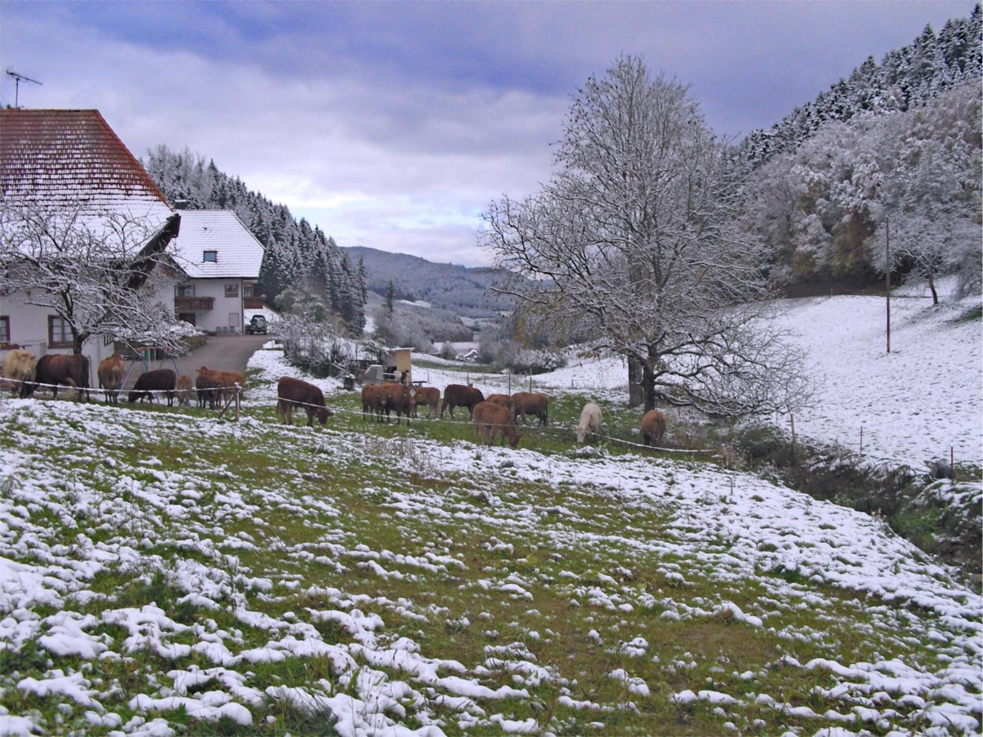 Comfortable In A Beautiful Location Hofstetten (Baden-Wurttemberg)