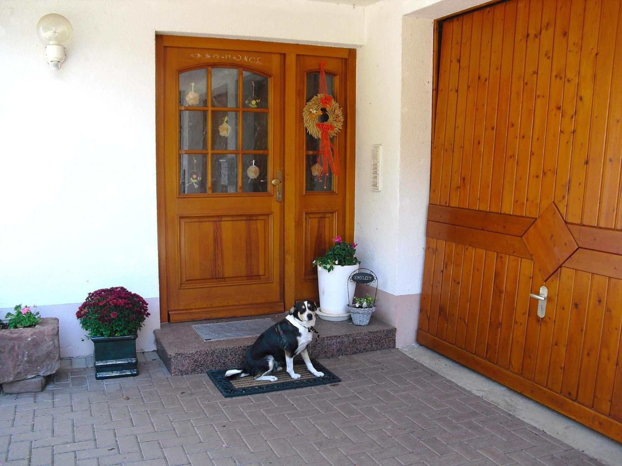 Comfortable In A Beautiful Location *
